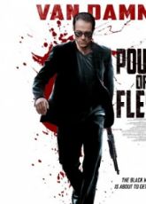 Pound of flesh