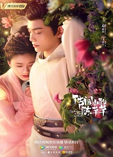 The Romance of Tiger and Rose 2