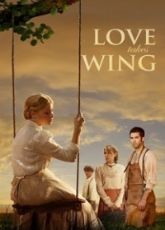 Love Takes Wing
