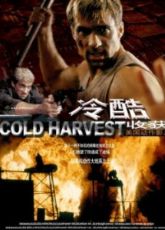 Cold Harvest