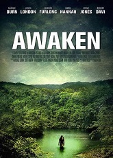Awaken: A Perfect Vacation